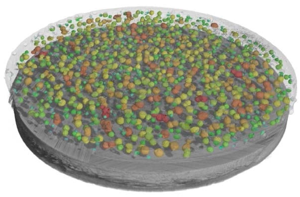 Exploring Materials with SEM-EDX Analysis and 3D Imaging: Insights into Surface Composition and Distribution