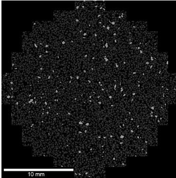 Backscattered electron image of the grain mount surface. Brighter grains indicate a higher average atomic number. Backscattered electron image of the grain mount surface. Brighter grains indicate a higher average atomic number.