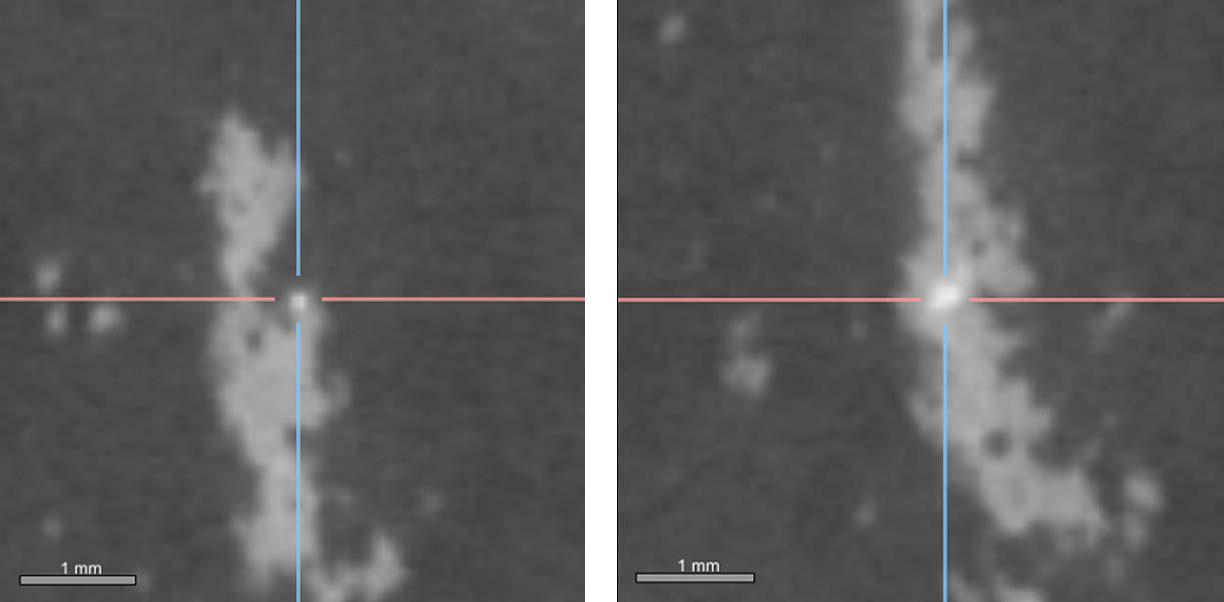 A small (80 µm size) potential gold grain (left) has the same grey value as a larger (300 µm size) grain that’s most likely not gold (right).