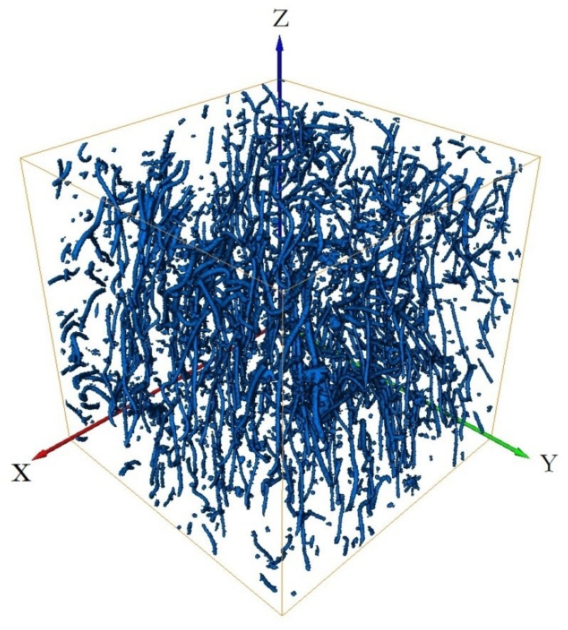 Images of polyester short fibers reconstructed using Thermo Scientific™ Avizo™ Software