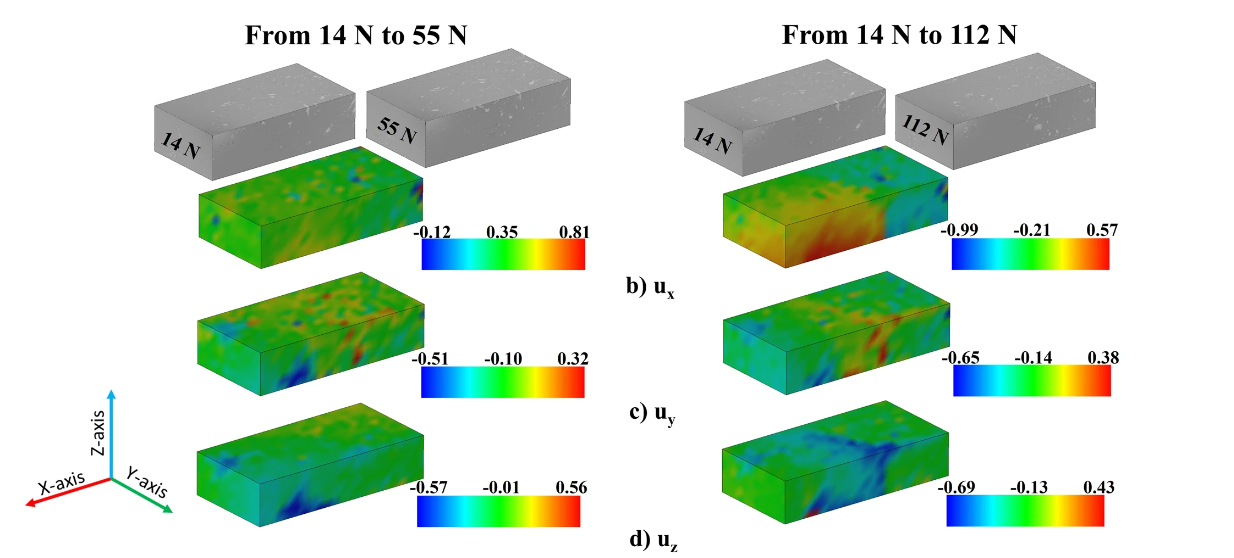 Axial displacements in the simulated material measured by DVC as weight was added during the stress test. DVC analysis was conducted using Thermo Scientific™ Avizo™ Software
