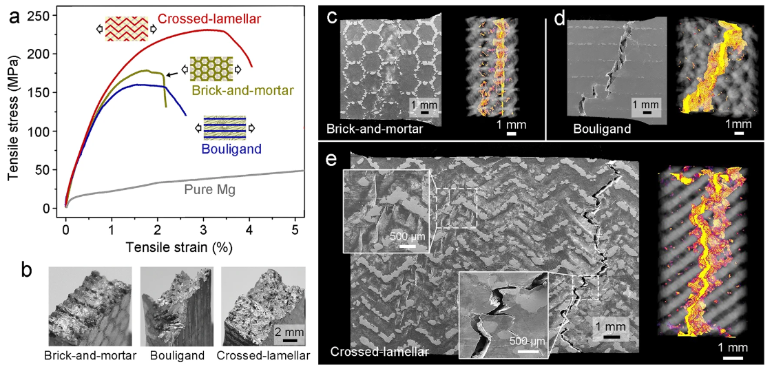 a Tensile engineering stress-strain curves and b overall fracture morphologies of the composites with the loading configurations for tensile tests illustrated in the insets in a. The data for coarse-grained pure Mg are also shown in (a) for comparison. c–e SEM images and X-ray computed tomography (CT) volume renderings of the tensile samples unloaded just prior to fracture for the (c) brick-and-mortar, (d) Bouligand, and (e) crossed-lamellar architectures. The CT images were processed by filtering out the signals of Mg and highlighting the cracking regions in yellow color. The insets in e magnify the slip bands within Mg and the deflection and branching of cracks in the composite with crossed-lamellar architecture.