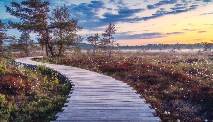 Assessing Temperature Variations and Their Effect on Peatland Carbon Dynamics