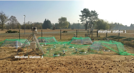 Study site with two weather stations