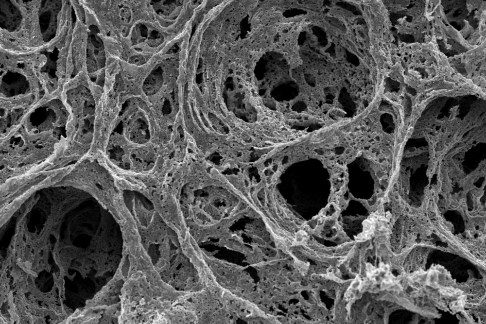 Gas Sorption Analysis of Porous Materials