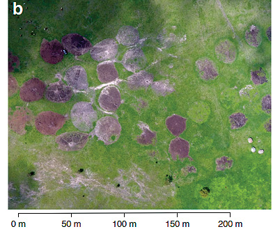 Location of study sites and aerial photos of bomas