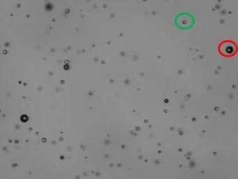 Example Hydro Insight image showing glass beads (example circled in green) and bubbles (example circled in red).