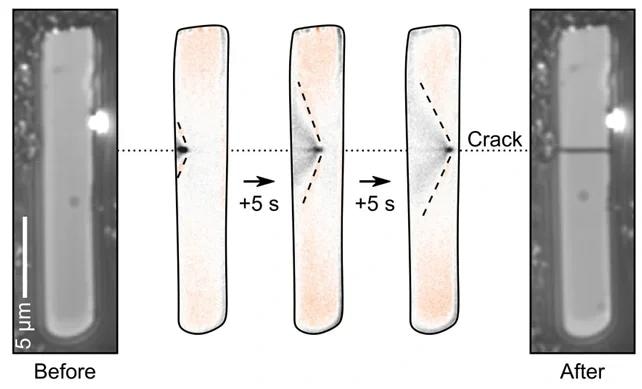 Sequence of images showing the real-time observation of a particle cracking using charge photometry. Image Credit: illumion