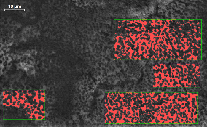 SE image acquired on the base oil at a temperature of -20 °C (10 kV, 2000x magnification). We observe the network formed by the paraffin crystals that have aggregated into a rigid structure that limits the free flow of the oil