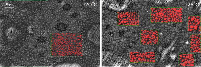 Automatic identification and measurement of the area and diameter of the wax crystals suspended in the oil with PPD additive, respectively at -20 °C (left) and -25 °C (right).