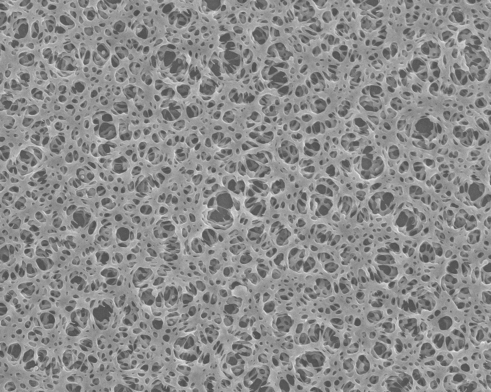 Bridging the Micro to Macro: Innovations in Multi-Scale Materials Characterization