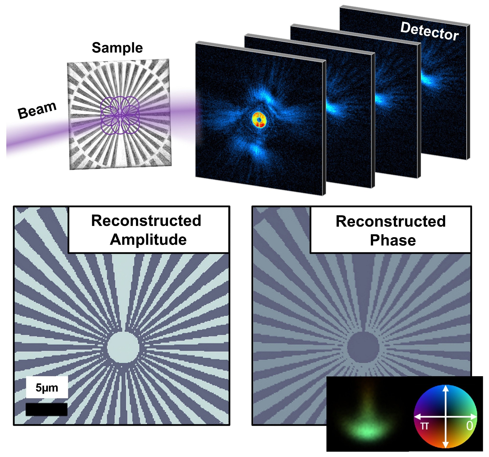 Top: A working principle of a ptychographic scan performed on a simulated 20-nm Nickel Siemens Star, which is deposited on a 200-nm Silicon membrane. The illumination function is focused on the sample, and 2D diffraction patterns are collected from partially overlapping regions in an area-by-area scan. Bottom: Information obtained from the ptychographic reconstruction: amplitude (left) and phase (right), which are separated from the full-field profile of the probing illumination (inset).