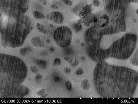 NiAlTa alloy imaged at 30kV with the Upper Detector (UD).