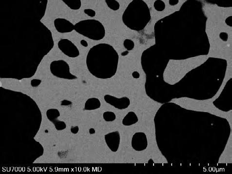 NiAlTa alloy imaged at 5kV with the BSE detector (PDBSE(COMP))