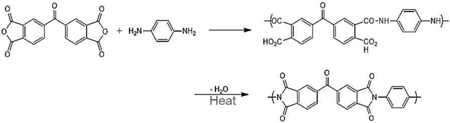 A conventional, two-step polyimide synthesis process.  In step 1, a dianhydride (here, BTDA, benzophenone tetracarboxylic dianhydride) reacts with a diamine, (here, para-phenylenediamine) to form polyamic acid, which in step 2 converts to polyimide via cyclodehydration. In the second step, the polar aprotic solvent (not shown) is also removed along with the water of condensation