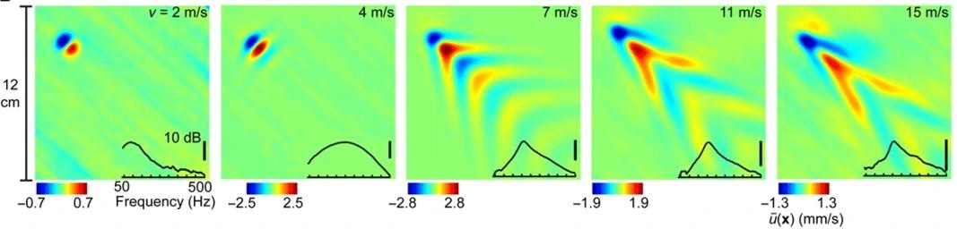 Shear shock wave formation in a tissue phantom excited via focused ultrasound