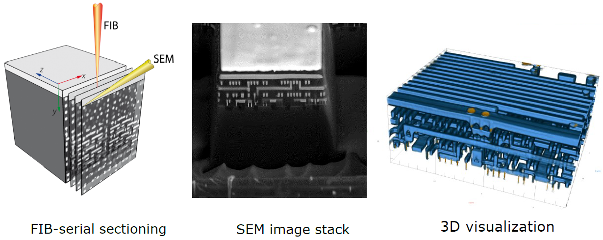 Schematic image of FIB-serial sectioning tomography workflow and 3D visualization using SEM images