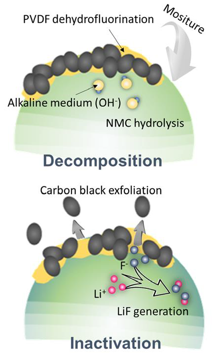 Schematic of the parasitic chemical reaction process.