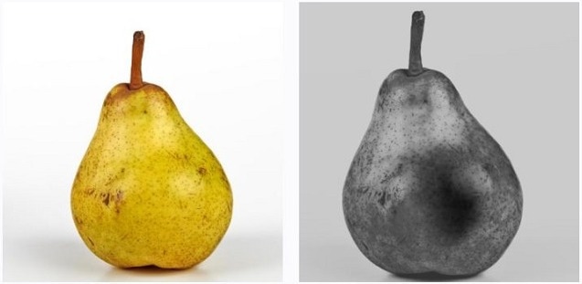 Exploring SWIR Imaging: Innovations and Applications in Diverse Fields