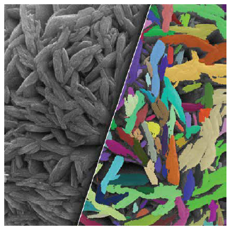 Detection of primary particles in a close-up on a precursor particle