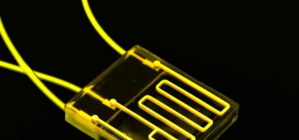 Harnessing Microfluidic Technology for Heavy Metal Analysis