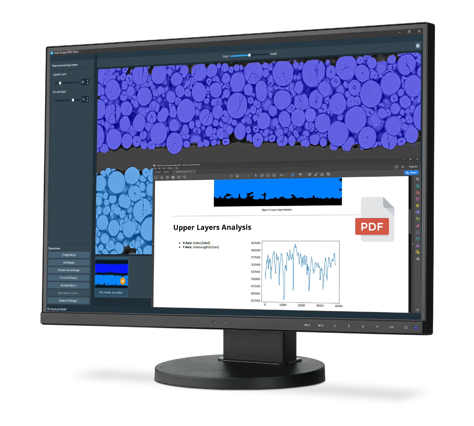 Avizo Trueput Software