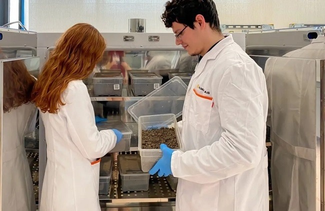 Understanding The Plastic Biodegradation Process
