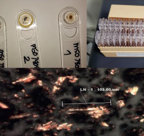 Container for FPQ filtergrams with an example micrograph image