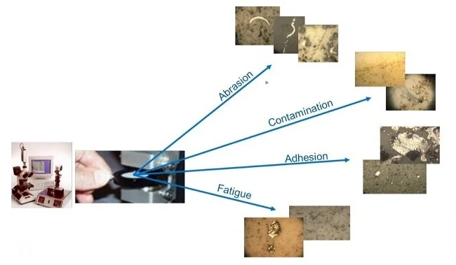 An automated microscope technique, such as shape classification, reduces burden on the expert.