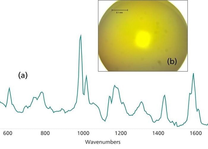 (a) Raman spectrum of polystyrene collected from (b) a polystyrene bead