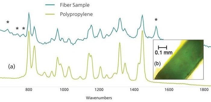 (a) Raman spectra of a colored fiber (top) compared to a reference spectrum of polypropylene (bottom) and (b) microscope image of the colored fiber. The asterisks denote peaks that can be attributed to the colorant used in the plastic