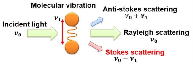 The principle of Raman spectroscopy.