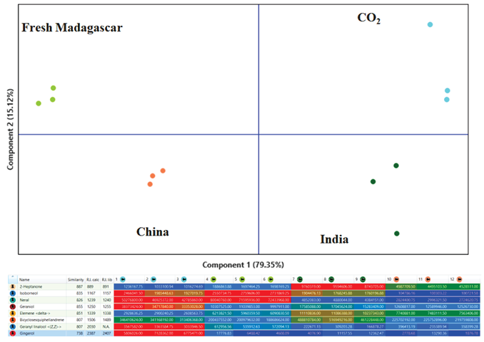 Principal Component Analysis (PCA) scores plot (top) displaying clustering of the Ginger EO samples according to their origin. The heatmap (bottom) allows one to quickly highlight differences across the samples set