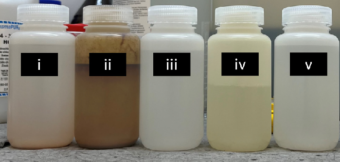 Samples labelled iii, and v are fresh waters while samples labelled i, ii, and iv are produced waters