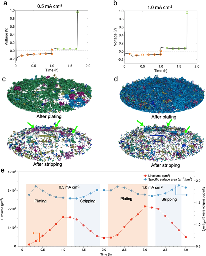 Renderings of the segmented Li from operando X-ray tomograms. | Nature Communications. Legend text: 3D renderings of segmented lithium. a, b Voltage profiles for galvanostatic plating and stripping during operando XTM are shown at 0.5?mA/cm-2 for the first cycle (a) and 1.0?mA/cm-2 for the second cycle (b). Circles mark the points where X-ray tomograms were captred. Orange denotes the plating process, while green indicates the stripping process. c, d 3D renderings display segmented lithium and identify isolated regions in distinct colors. Green arrows highlight regions of inactive lithium. Different colors such as dark blue, light blue, dark green, light green, and purple represent various separated lithium regions. e The volume and surface area of deposited lithium during plating and stripping cycles are shown. The white spaces between colored areas indicate the points at which tomograms were taken after the plating or stripping process