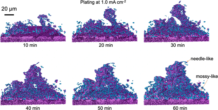 Evolution of Li microstructure formed by the integration of a Li dendrite and mossy structures. | Nature Communications. Legend text: Formation of lithium dendrite and mossy structures. Renderings are derived from tomograms captured during plating at 1.0 mA/cm² for 10, 20, 30, 40, 50, and 60 minutes. Lithium is depicted in blue, with purple representing SEI or high-atomic-number components covering the lithium, and purple at the bottom indicating the copper substrate.