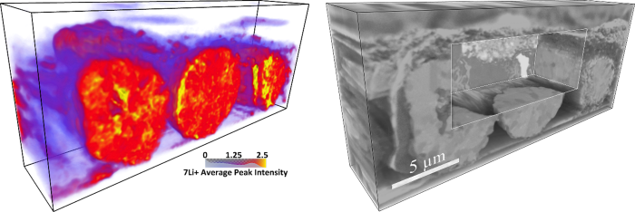 3D rendering of lithium-containing cathode particles