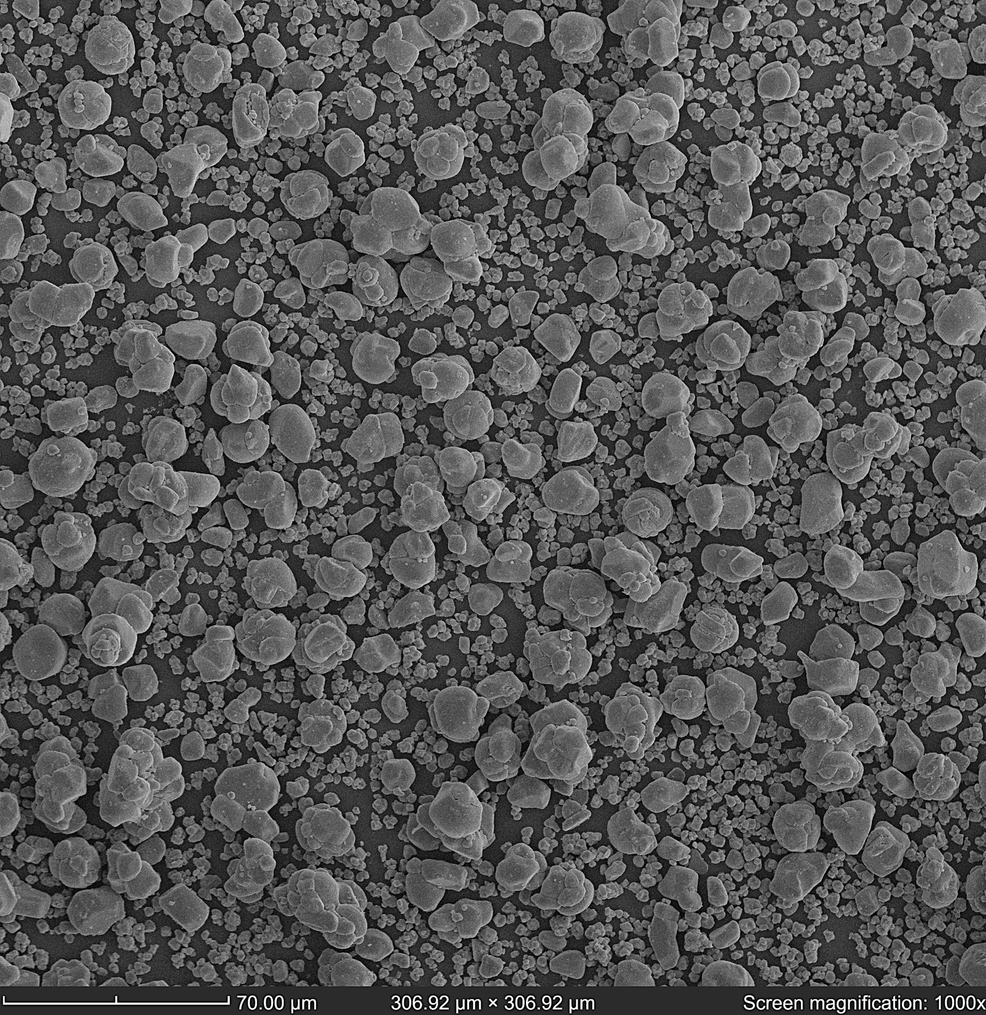 BSD image of LiCoO2 particles