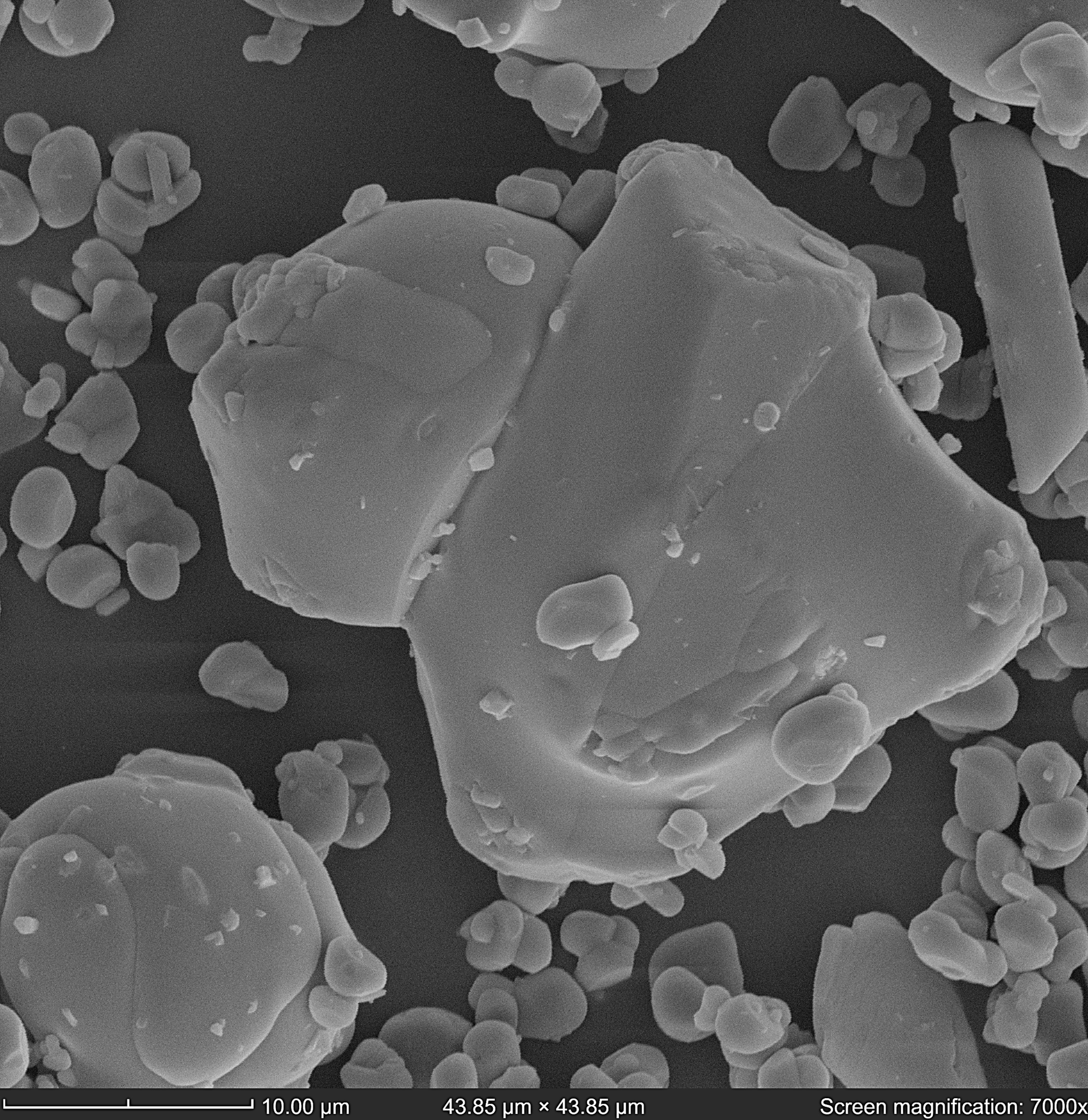 BSD image of LiCoO2 particle