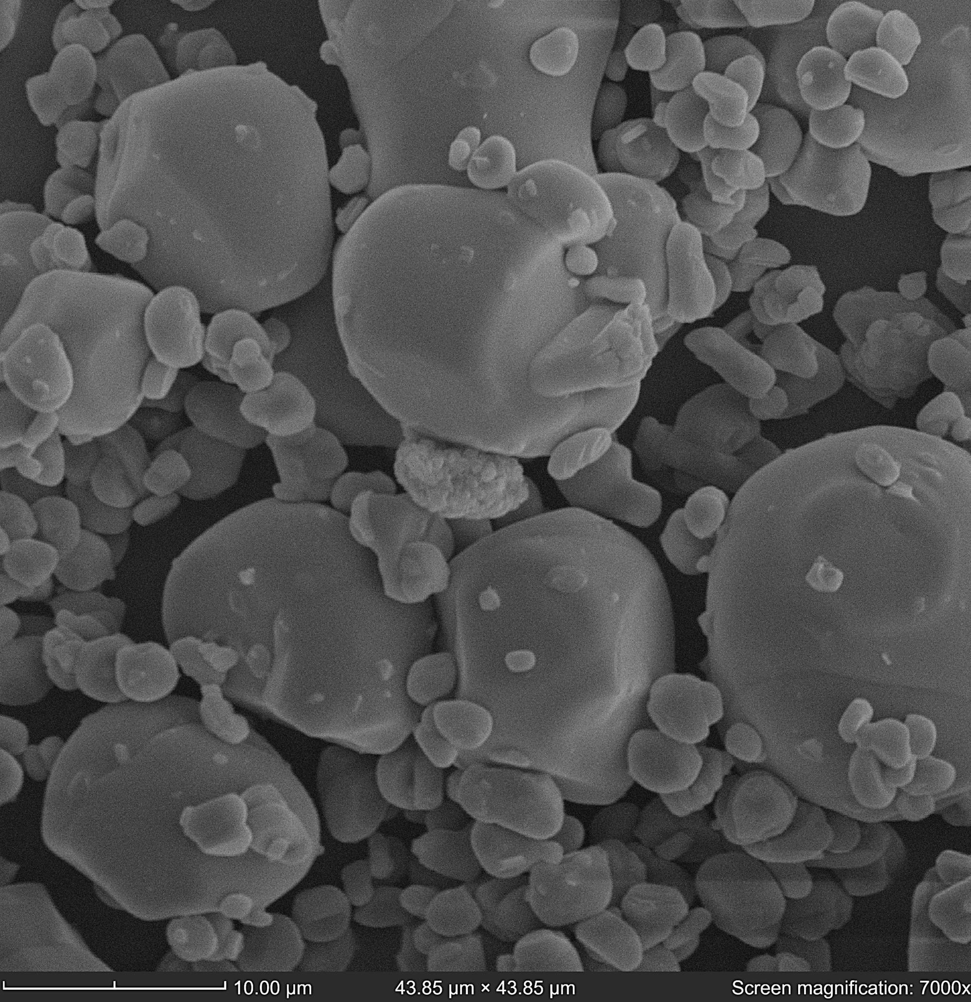 BSD image of smaller LiCoO2 particles
