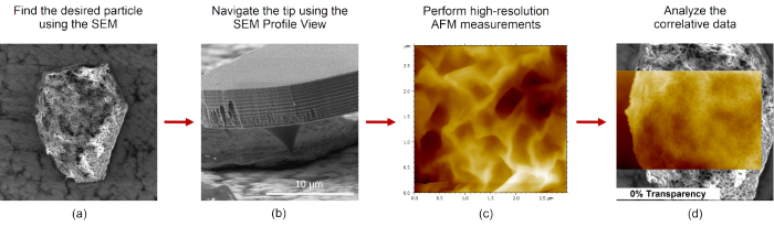 Workflow to obtain correlative AFM-SEM data on Vitamin C particles using the FusionScope. (a) Identifying target Vitamin C particle. (b) Profile View of cantilever tip positioned on particle. (c) High-resolution AFM image of particle topography. (d) Correlated AFM/SEM image of particle