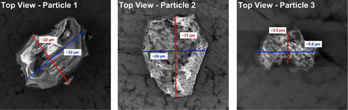 SEM Top View of three different individual Vitamin C particles