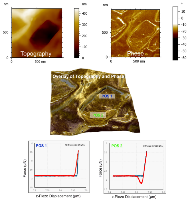 (Top) High resolution AFM topography and phase image of Particle 2 indicates a possible contamination. (Middle) Overlay of AFM topography and phase image revealing the two different materials in the crater structure. (Bottom) Force-Distance Curves at Position 1 and Position 2 indicating different hardness and adhesion