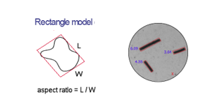 Exploring the Impact of Particle Shape on Performance