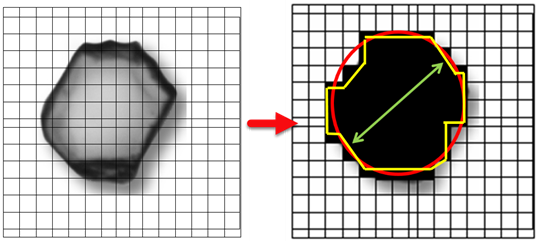 Understanding the Principles of Dynamic Image Analysis