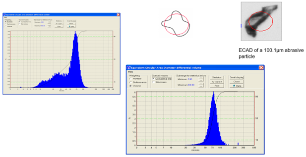 Understanding the Principles of Dynamic Image Analysis
