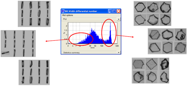 Understanding the Principles of Dynamic Image Analysis