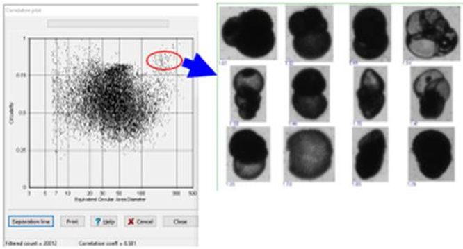 Understanding the Principles of Dynamic Image Analysis