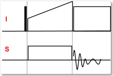 CPMAS experiment with nucleus i being the 1H channel, typically and s any lower gamma nucleus. The contact pulse with the ramped amplitude is generally on the high gamma nucleus but can be used on the low gamma nucleus as well. Often, tangential amplitude modulated pulses are employed promising better magnetization yield [3, 4]