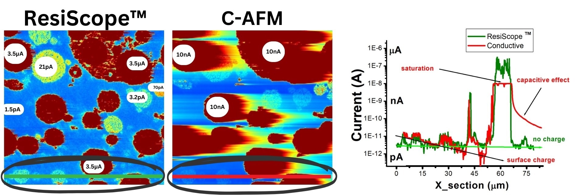 Comparison between ResiScope™ III and c-AFM.Image